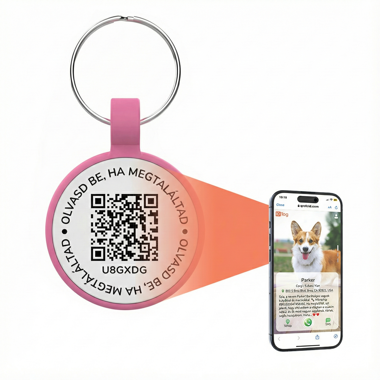 EcoMancs okos biléta