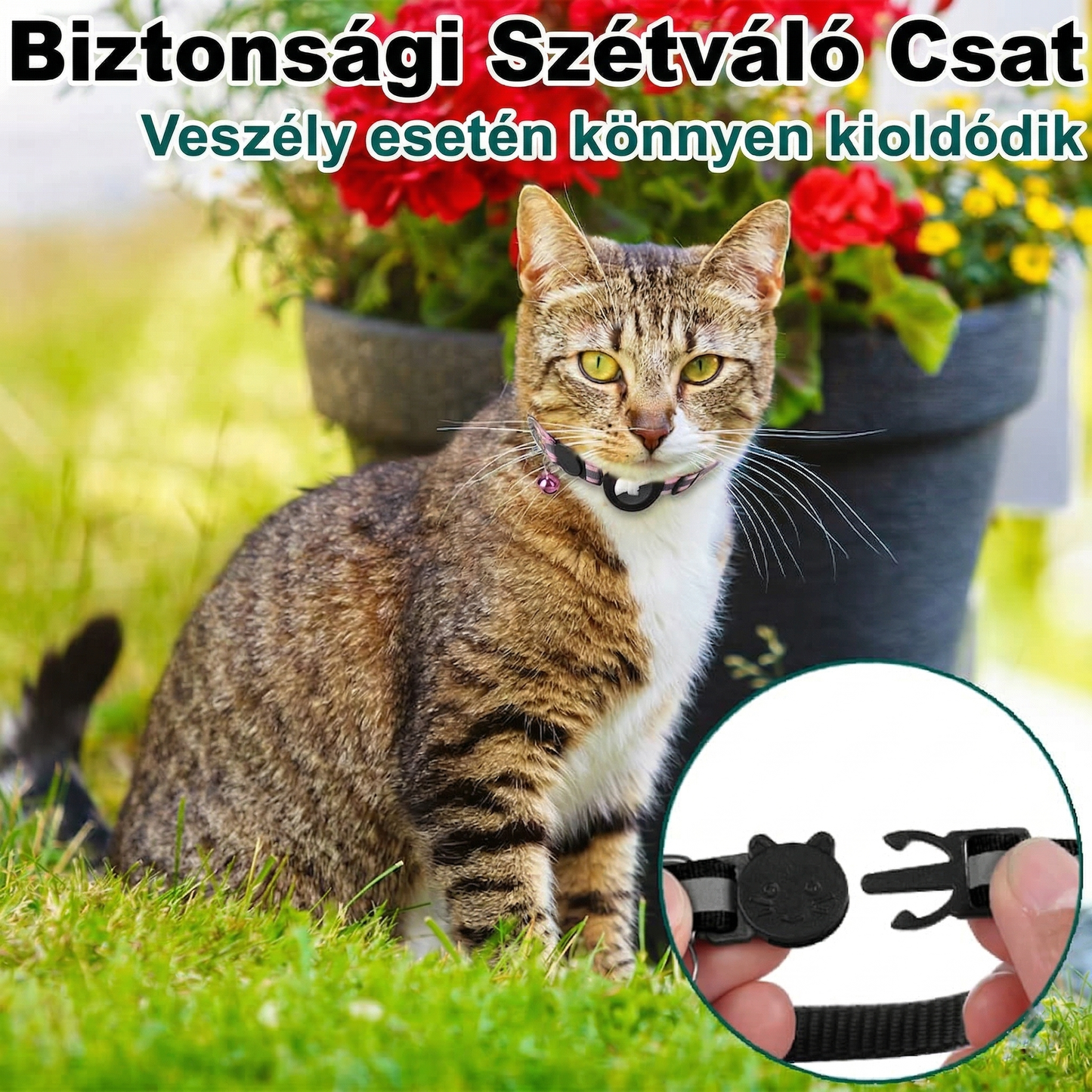 SafetyCat Önkioldós Macska Nyakörv - EcoMancs