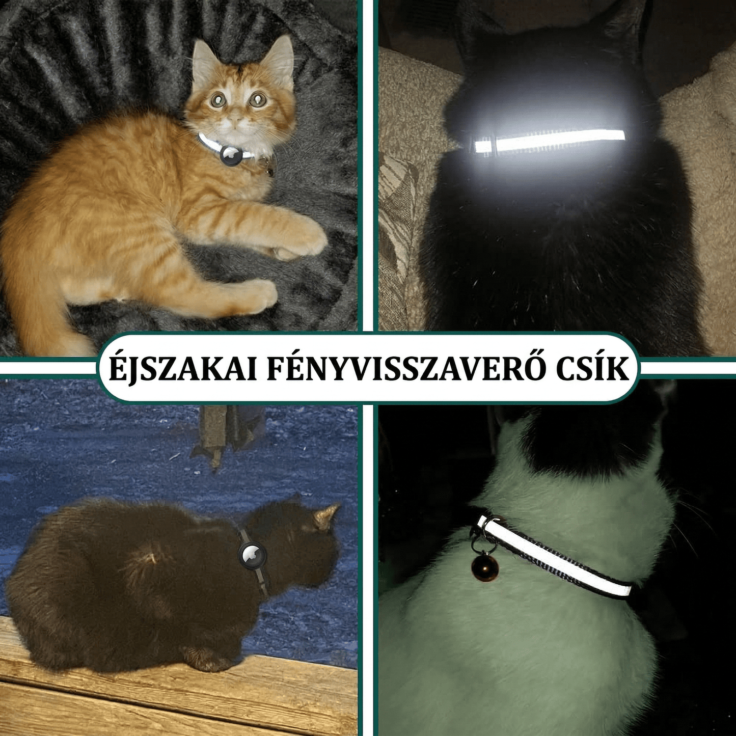 SafetyCat Önkioldós Macska Nyakörv - EcoMancs